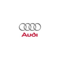 Audi - Μπάρα Θόλων Wiechers