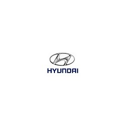 Hyundai - Μπάρα Θόλων Wiechers