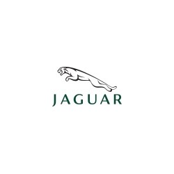 Jaguar - K&N